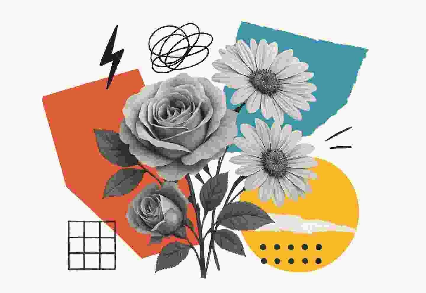 Discover – Understand Your Brand & Audience